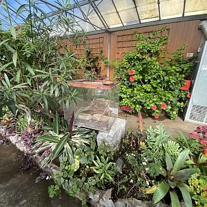 Butterfly Walkthrough 230922