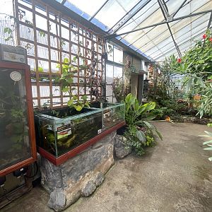 Butterfly Walkthrough 230922