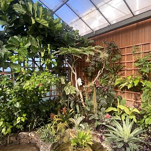 Butterfly Walkthrough 230922