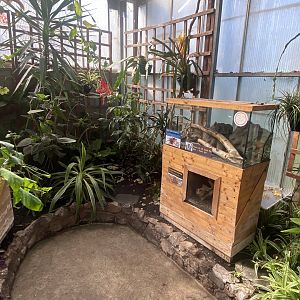 Butterfly Walkthrough 230922