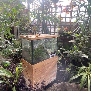 Butterfly Walkthrough 230922