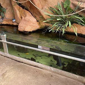 Aquarium exhibit 230922