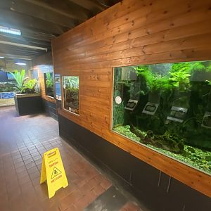 Aquarium exhibits 230922