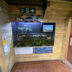 Blind cave fish exhibit 230922