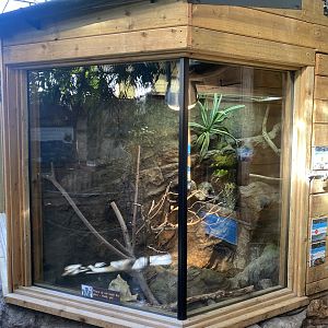 Tropical Hall - Mixed exhibit 230922