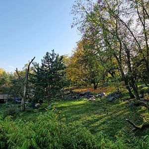 Red Panda/Tufted Deer exhibit