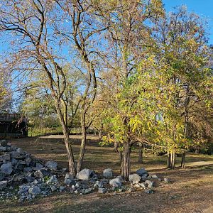 White-lipped Deer exhibit