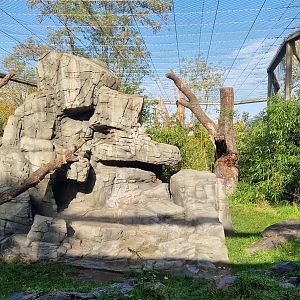 François Langur exhibit