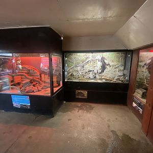 Tropical Hall - Nocturnal exhibits 230922