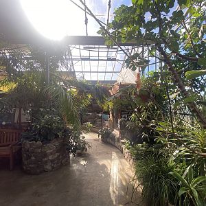 Tropical Hall 230922