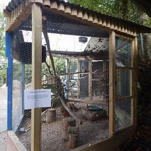 Cockatoo aviary 151022