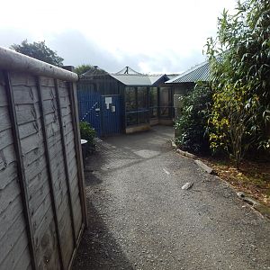 Walkway towards enclosures 151022