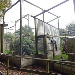 Lemur exhibits 151022