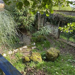 Mixed tortoise exhibit 151022