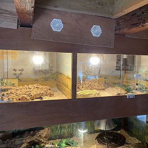 Reptile exhibits 151022