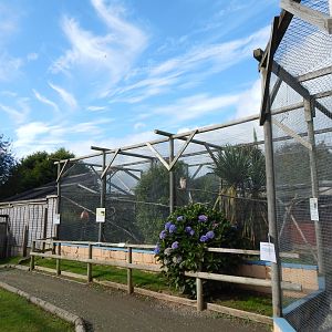 Owl aviaries 151022