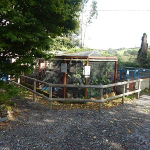 Kinkajou enclosure 151022
