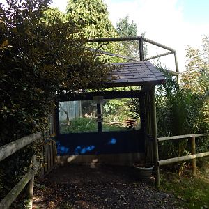 Blue-and-yellow macaw exhibit 151022