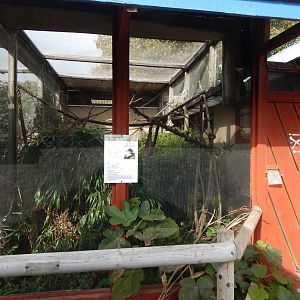 Cottontop tamarin enclosure 151022