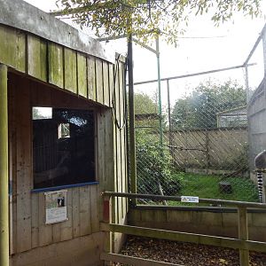 Ring-tailed lemur enclosure 151022