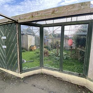 Ring-tailed lemur enclosure 151022