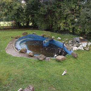 Capybara enclosure 151022