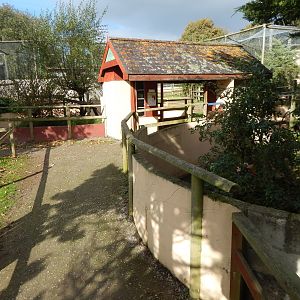 Raccoon and Raccoon dog enclosures 151022