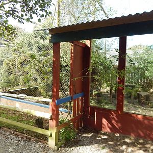 Serval enclosure 151022