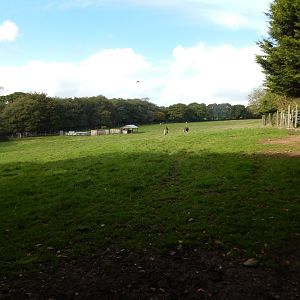 African Grassland 151022