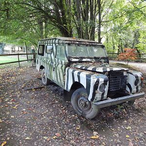 African Grasslands theming 151022