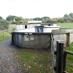 African Grasslands theming 151022