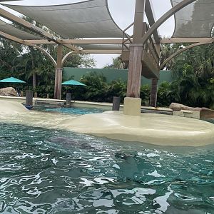 Key West- Dolphin Nursery