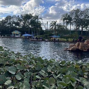 Key West- Dolphin Lagoon