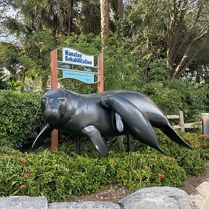 Manatee Rescue- Manatee Statues