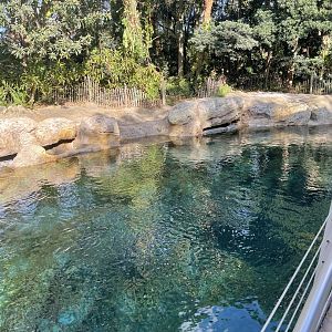 Turtle Trek- Sea Turtle Exhibit