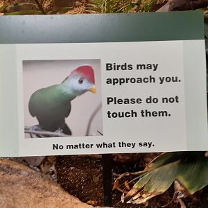 Bird Signage