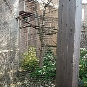 Other View of Macaw Aviary