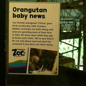 Sign in the ape house, October 2022