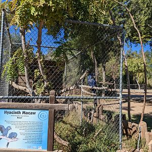 Original Zoo - Macaw aviaries