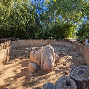 Original Zoo - meerkat