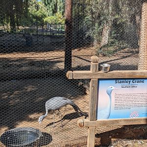 Original Zoo - Main aviary - Stanley crane