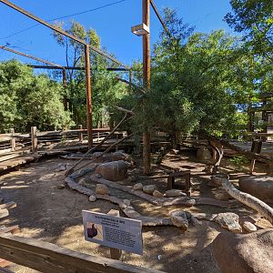 Original Zoo -  - main aviary