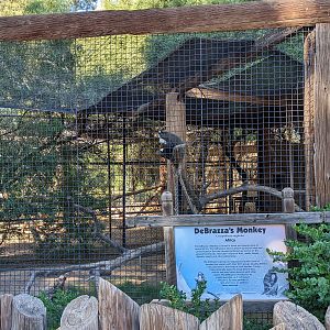 Original Zoo - debrassa's monkey