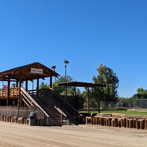 Safari Park - Giraffe feeding deck (this one is not used often as it is not ADA compliant and the other one is)