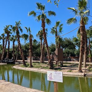 Safari Park - spider monkey islands