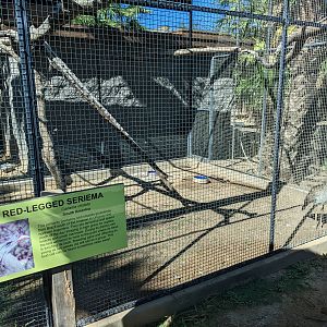 Safari Park -  Red-legged seriema