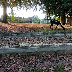 Inside of the Main Enclosure