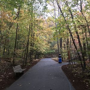 Trail by Streamside in Autumn