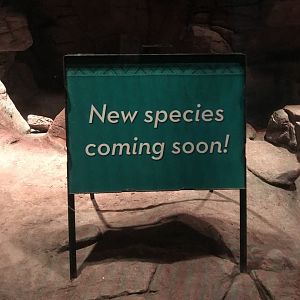 New Species Coming Soon sign in former Sand Cat Habitat