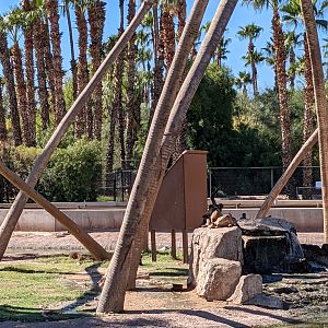 Aquarium - spider monkey island